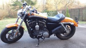 Sacoche Myleatherbikes Harley Sportster_58